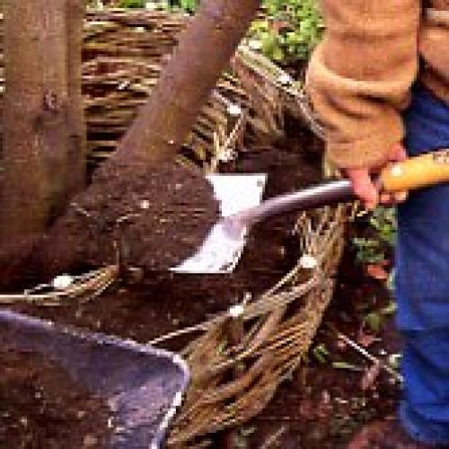 Отличная идея для дачи. 04