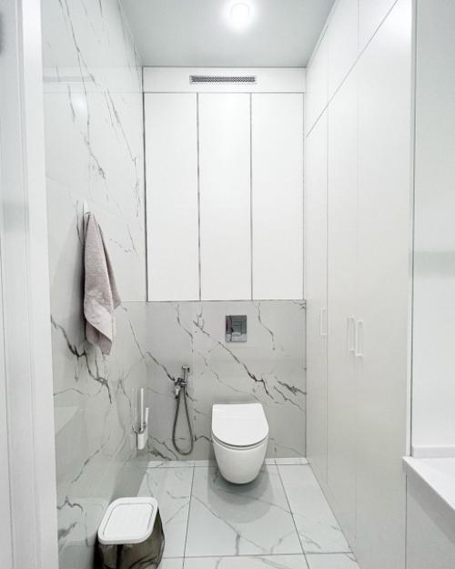 Санузел в профессиональном исполнении. 01