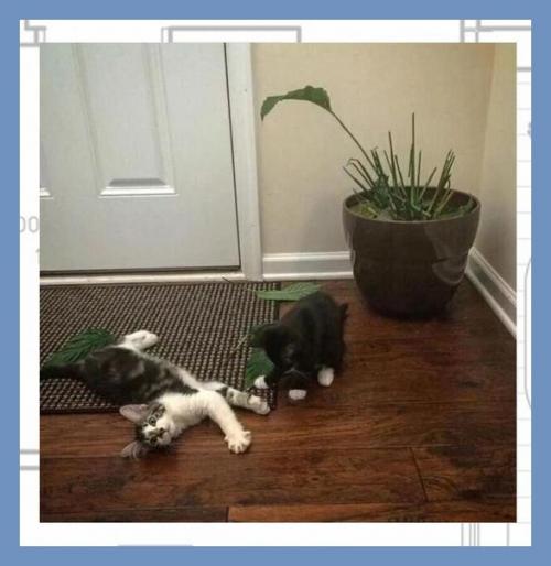 Все о дизайне интерьера. 04