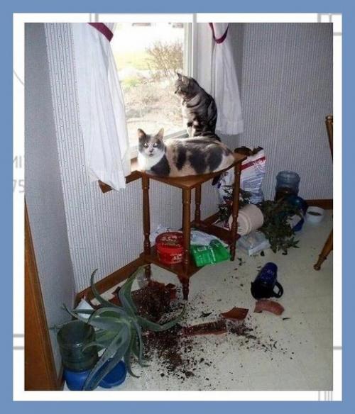 Все о дизайне интерьера. 05