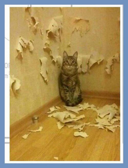 Все о дизайне интерьера. 01