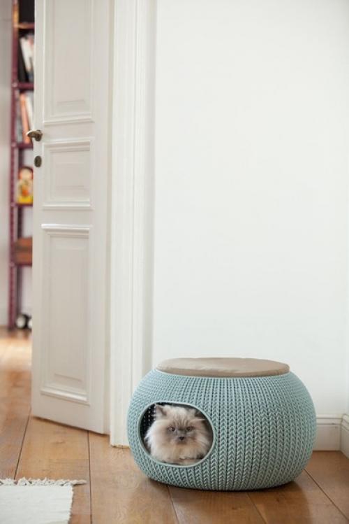 Таким образом, если вам надоело, что питомец выселяет вас с собственного дивана, то пора задуматься о покупке лежака для четвероногого друга. 02