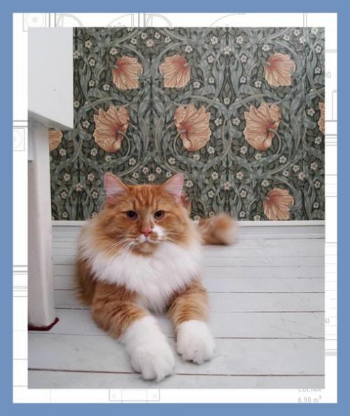 Все о дизайне интерьера. 01