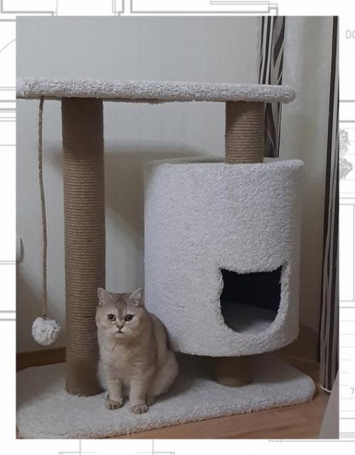 Каждый из нас кто имеет любимого питомца хочет улучшить его жилищные условия. 01 Каждый из нас кто имеет любимого питомца хочет улучшить его жилищные условия. 01