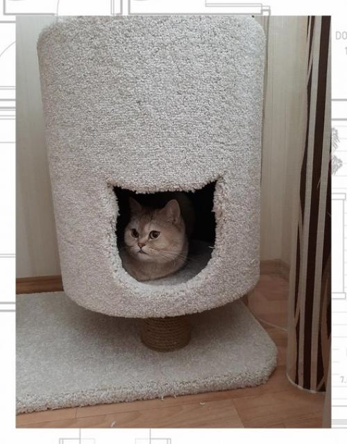 Каждый из нас кто имеет любимого питомца хочет улучшить его жилищные условия. 03 Каждый из нас кто имеет любимого питомца хочет улучшить его жилищные условия. 03