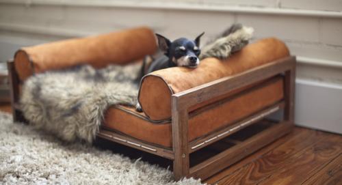 Таким образом, если вам надоело, что питомец выселяет вас с собственного дивана, то пора задуматься о покупке лежака для четвероногого друга. 05