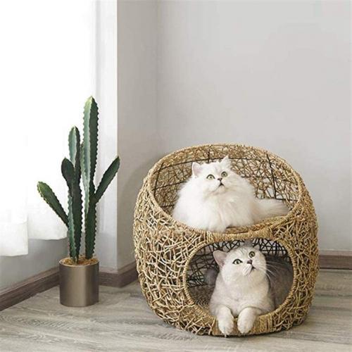 Таким образом, если вам надоело, что питомец выселяет вас с собственного дивана, то пора задуматься о покупке лежака для четвероногого друга. 03