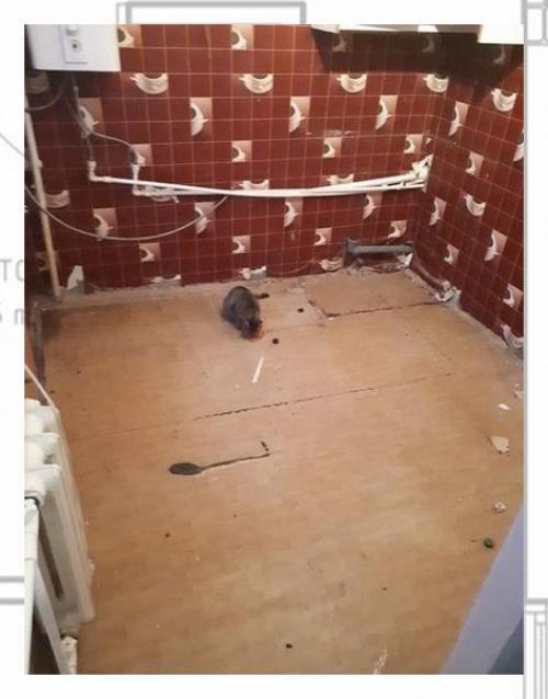 Рубрика: до и после. 01