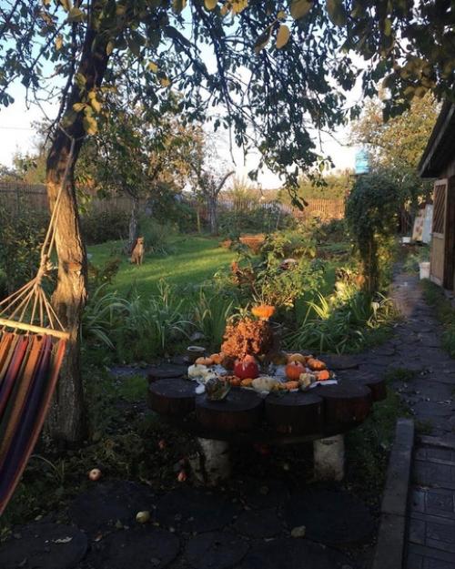 Всем привет!  Мой сад находится в курской области в городе Железногорск - жемчужине курской магнитной аномалии. 03