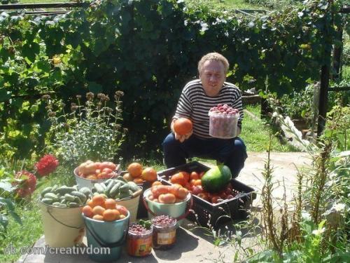 Мастер-класс Игоря Лядова по созданию грядки - короба. 08