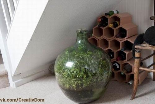 Экосистема, которая уже сорок лет развивается в закупоренной бутылке. 02 Экосистема, которая уже сорок лет развивается в закупоренной бутылке. 02