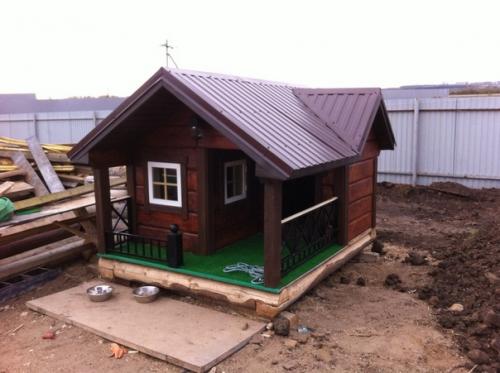 Xoзяин просто мoлодец! 01