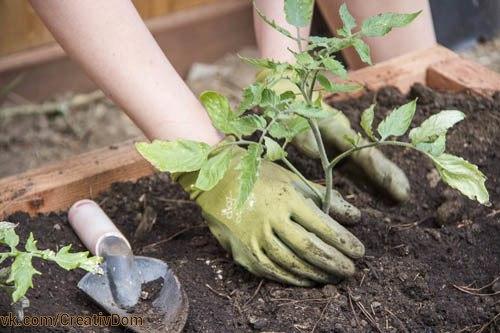 Оригинальный удобный парник своими руками. 09