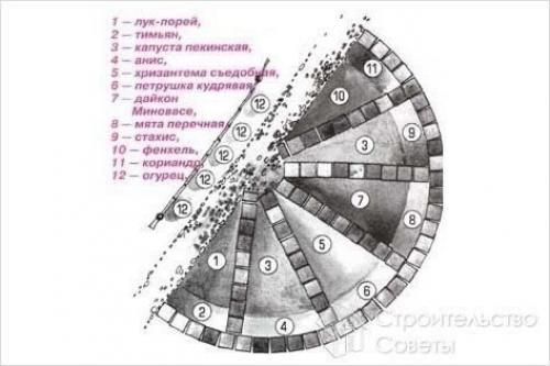 Как оригинально оформить огород. 01