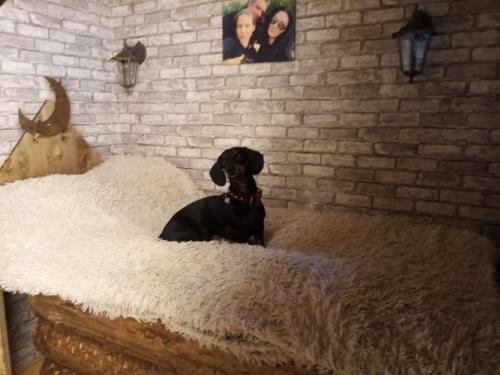 Наконец то руки до цокольного этажа дошли. 04