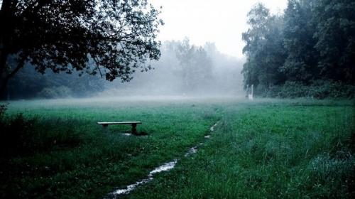 Замена манжеты унитаза. 08