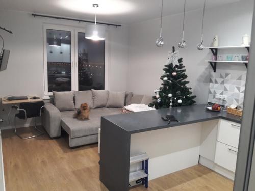 Наша кухня и ванная. 01