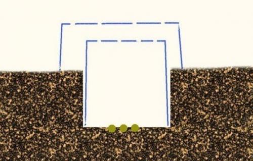 Как получить небывалый урожай капусты. 02