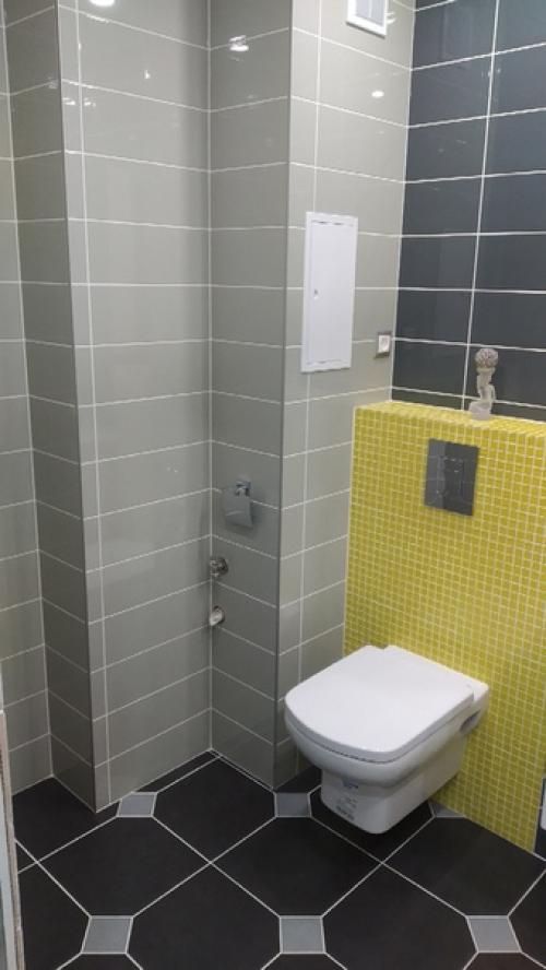 Совместили санузел и ванную комнату. 02