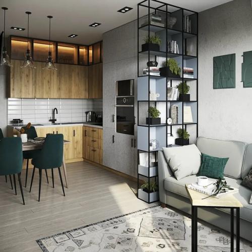 Кухня - гостиная 18 кв м. 01