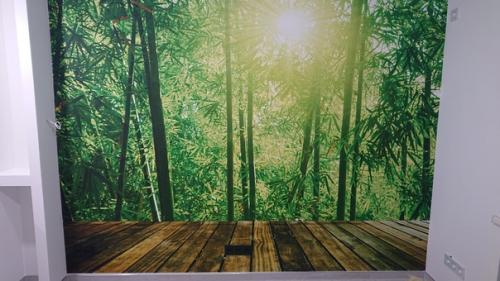 Общежитие, комната студия, для двоих с головой. 06