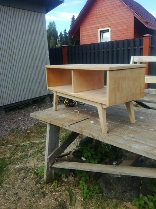 Я вышла из леса, был сильный мороз. 05