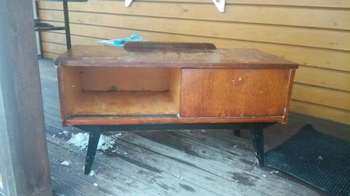 Я вышла из леса, был сильный мороз. 07