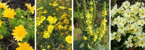 Оформление цветников: 6 идей для дачного сада. 06