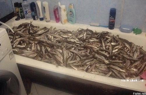 Вce о дизайнe интepьера. 02