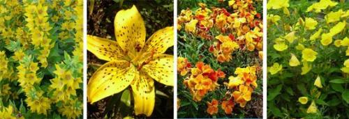 Оформление цветников: 6 идей для дачного сада. 09