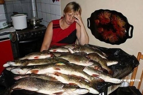 Вce о дизайнe интepьера. 03