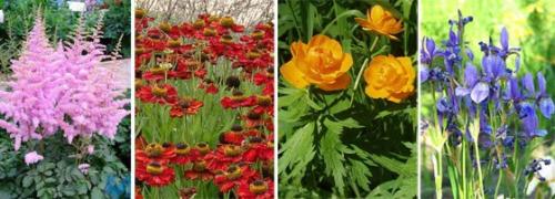 Оформление цветников: 6 идей для дачного сада. 07