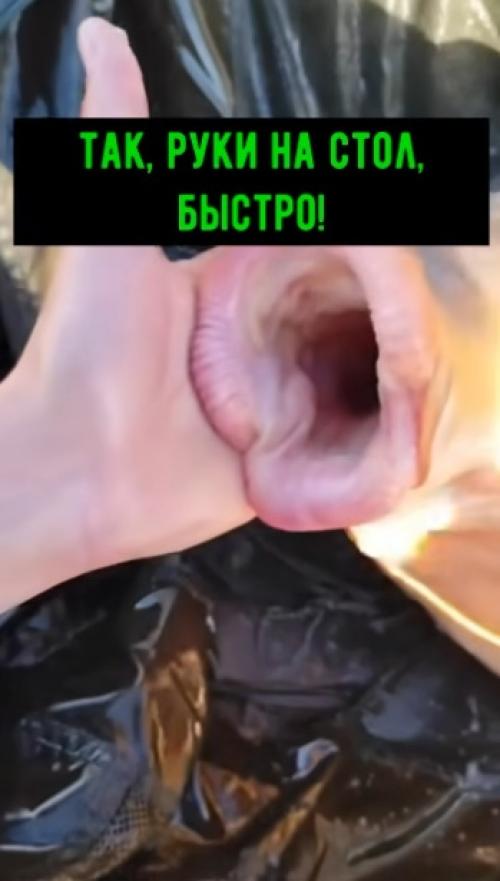 Ха-ха, это просто забавно - подумал мой муж и отправился на рыбалку! 

