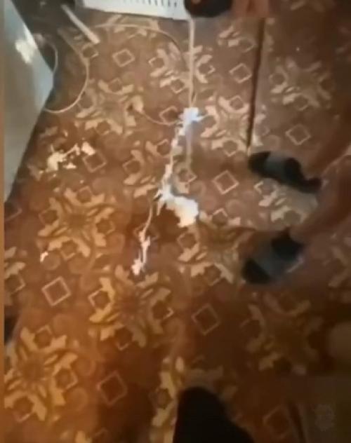 Шестиклассницы из ростовской области превратили квартиру в поле битвы. 01