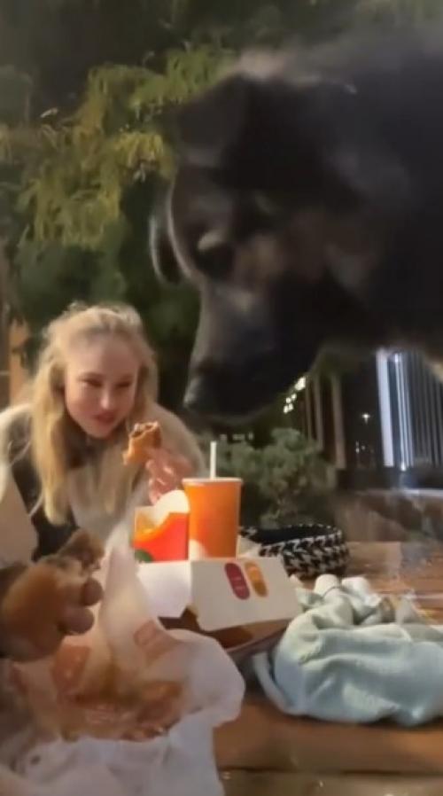 Девушки спокойно сидели в маке, жевали свои булки, обсуждали всякую фигню.  