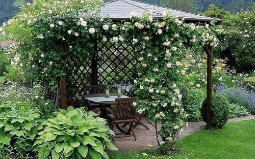 13 идей для вашего сада, которые можно воплотить одной покупкой. 09 13 идей для вашего сада, которые можно воплотить одной покупкой. 09