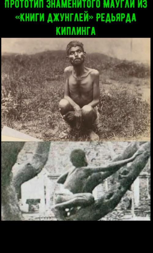 Прототип знаменитого маугли из 