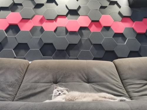 31 годик, Владик оборудовал себе игровую комнату. 03