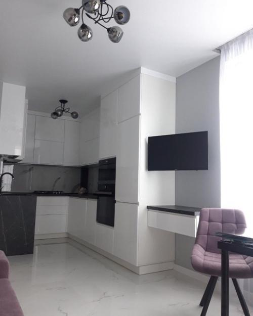 Однокомнатная квартира + кухня - студия. 01