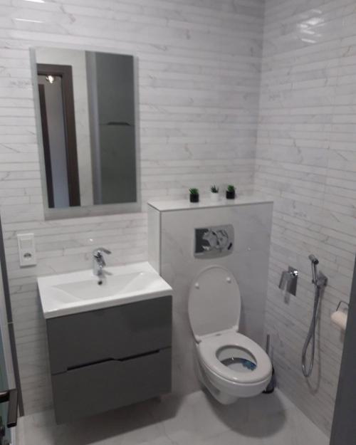 Однокомнатная квартира + кухня - студия. 06