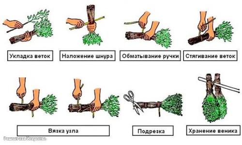Веники для бани. 01 Веники для бани. 01