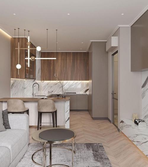 Еще один шикарный дизайн - проект кухни - гостиной. 07