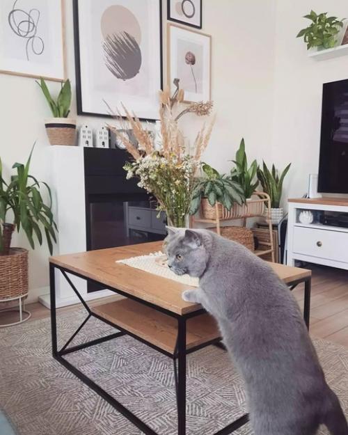 Действительно, в квартире очень уютно, а светлые тона визуально увеличивают комнаты. 02