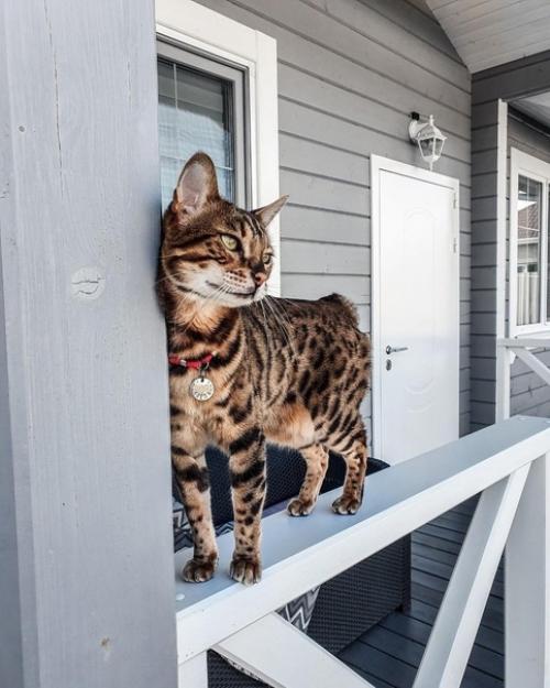 Замечательный загородный дом после строительства и обустройства. 06