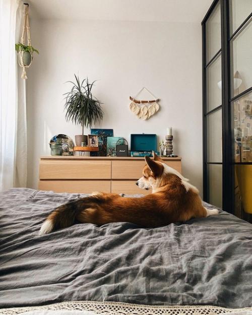 Евродвушка после ремонта. 02