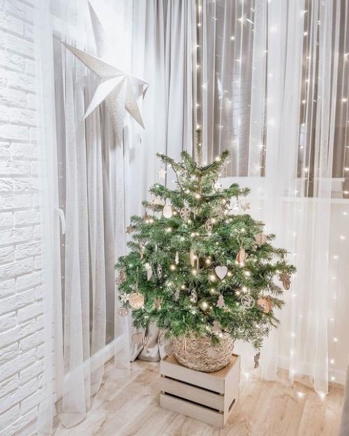 Не могу не похвастаться. 01