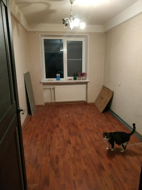 Купили квартиру без ремонта. 03