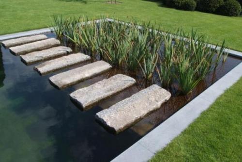 Биоплато.  Очистка воды с помощью водной растительности. 01 Биоплато.  Очистка воды с помощью водной растительности. 01