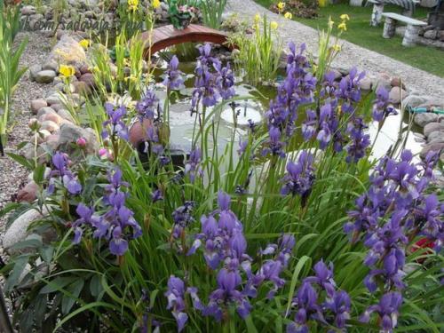 Как уместить все на 5, 5 сотках - любуемся и мы берём на заметку! 03 Как уместить все на 5, 5 сотках - любуемся и мы берём на заметку! 03