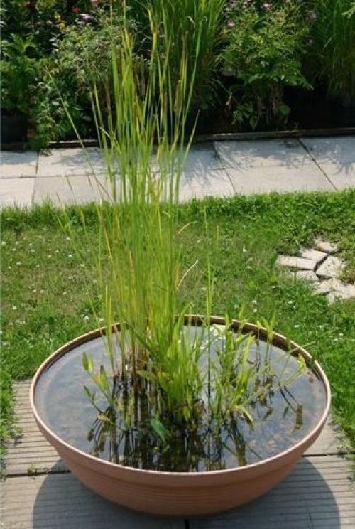 Сделайте пруд своими руками. 01 Сделайте пруд своими руками. 01